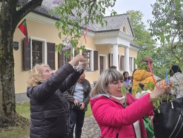 В музее стартовала акция «Сирень желаний»